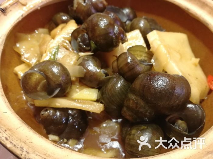 酸笋田螺煲，酸笋田螺煲的做法视频