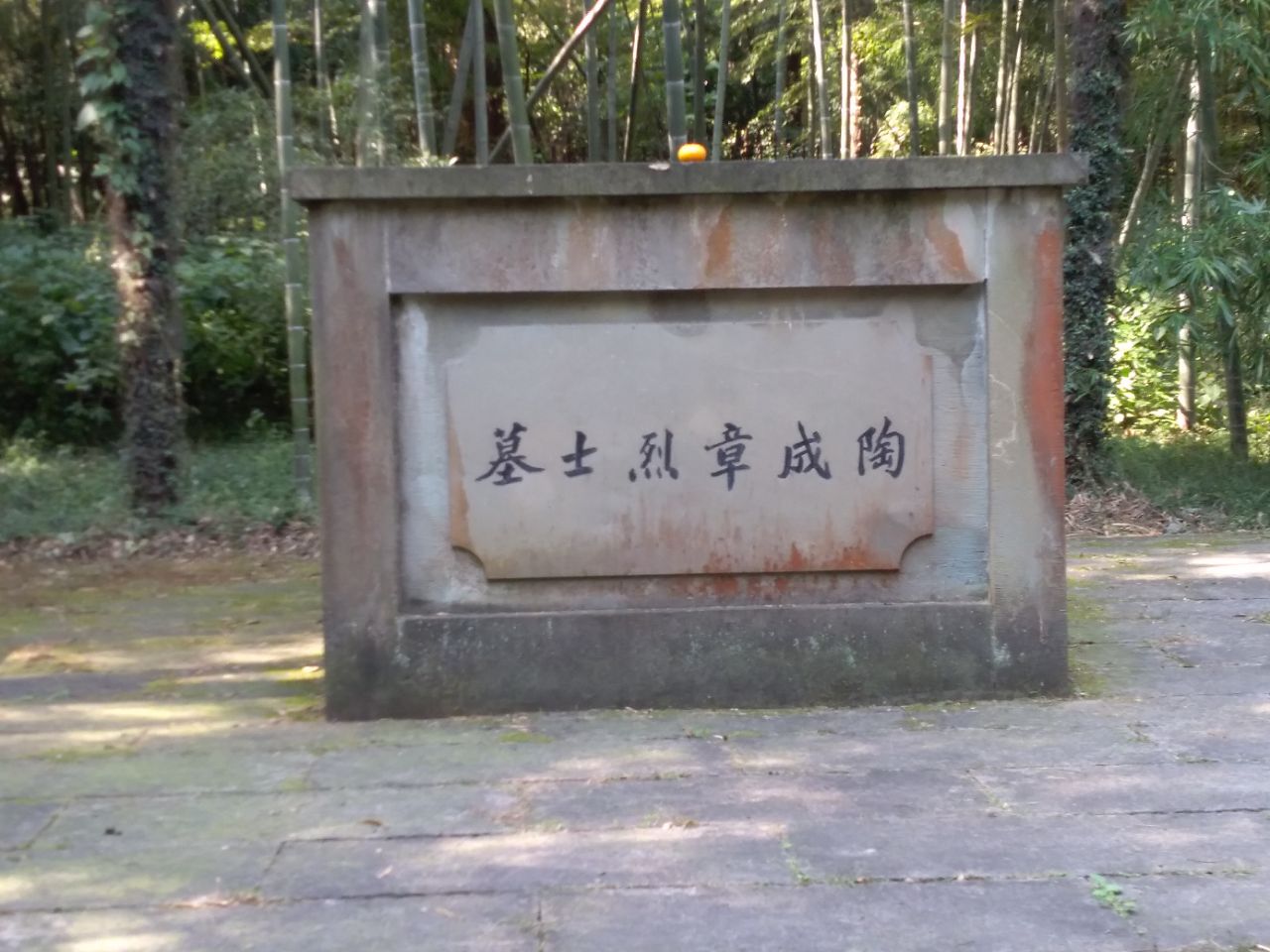 陶成章，人物陶成章