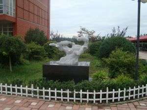 三河口高级中学，三河口高级中学录取分数线2021