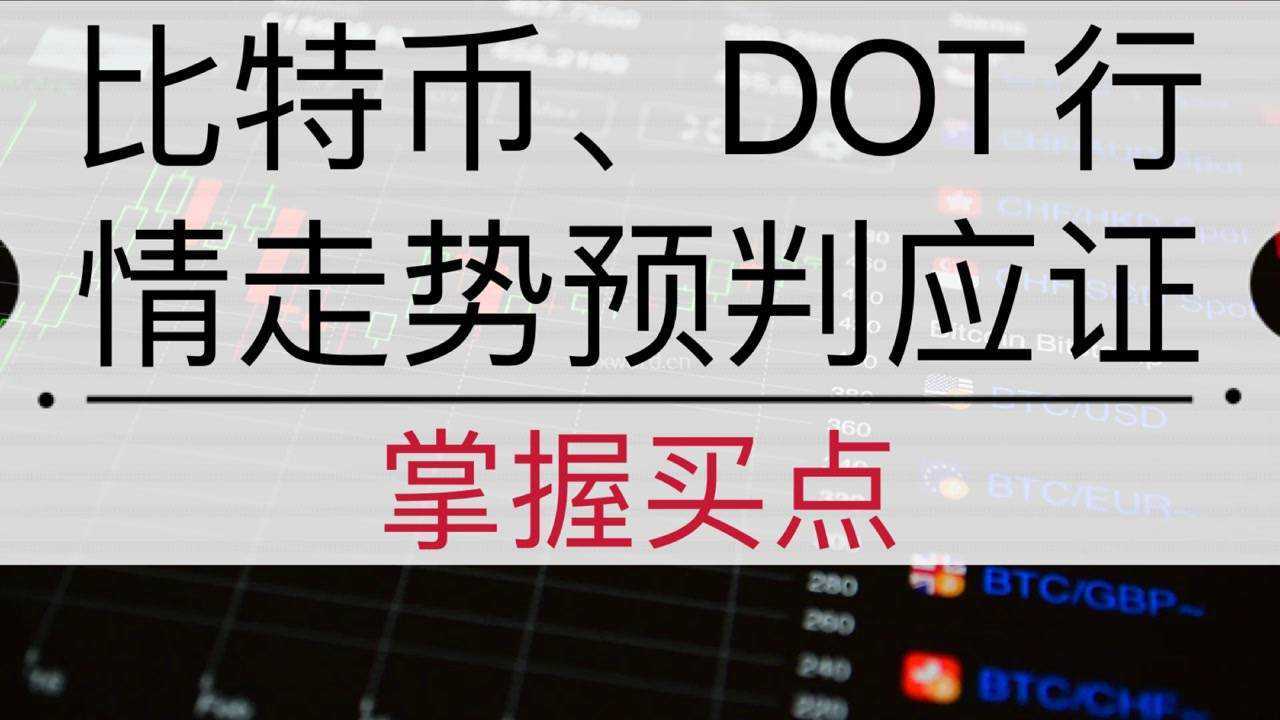 dot币价格，dot币价格今日