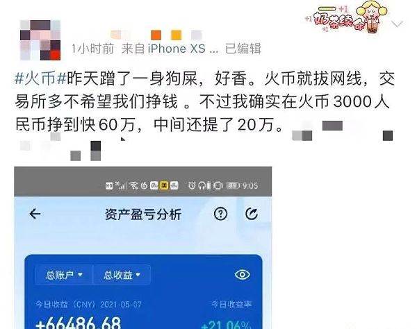 屎币价格，屎币价格过程视频
