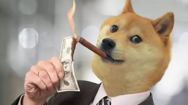 狗币和柴犬币哪个好！，柴犬币和狗狗币哪个有投资价值
