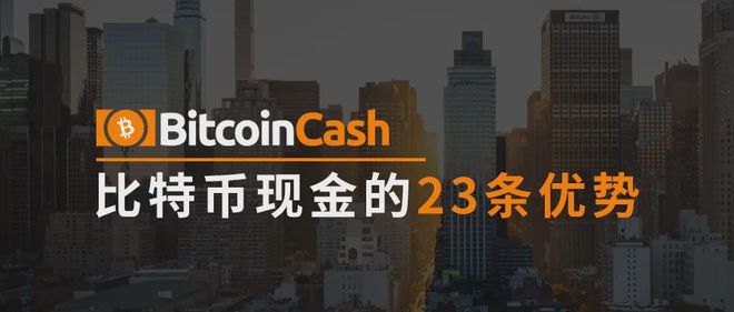bch是什么币，bcha币是什么币