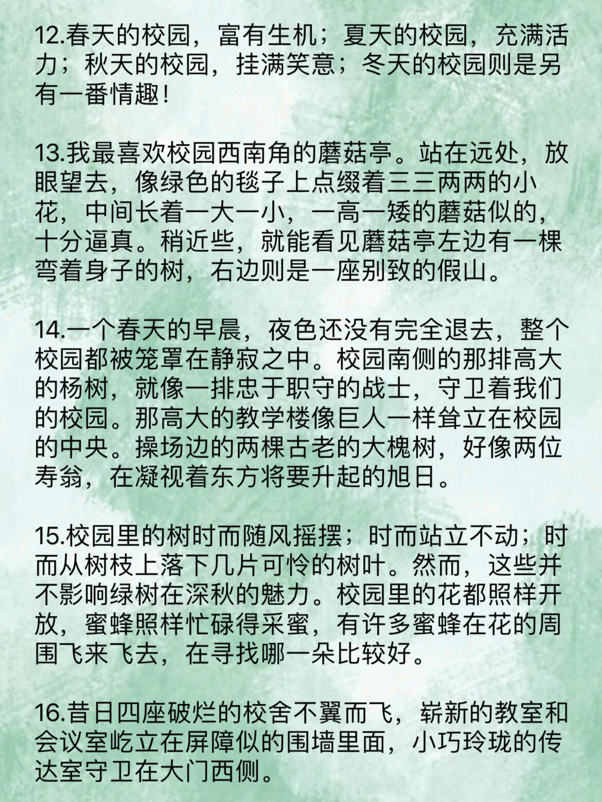描写校园，描写校园的优美句子